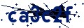 Code de sécurité