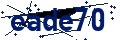 Code de sécurité