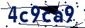 Code de sécurité