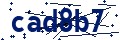 Code de sécurité